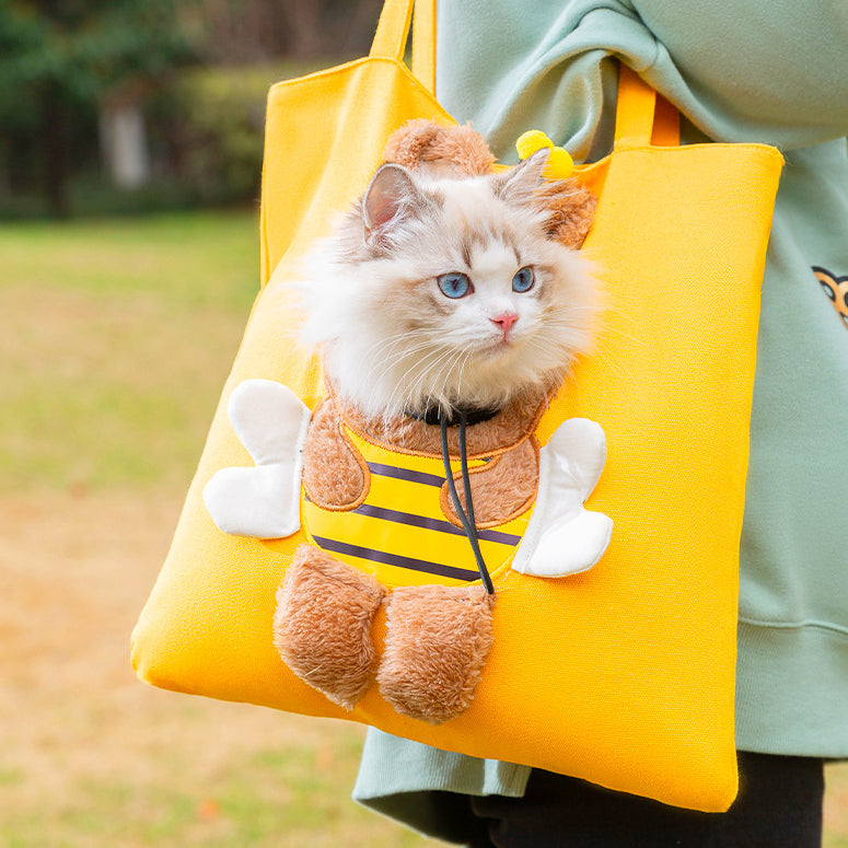 Outdoor Backpack That Can Carry A Pet Cat