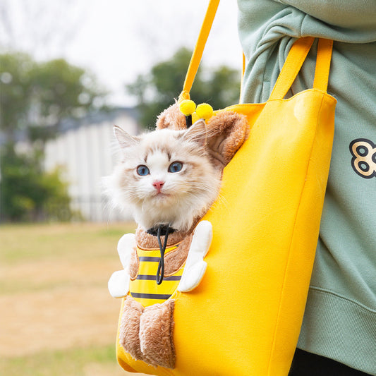 Outdoor Backpack That Can Carry A Pet Cat