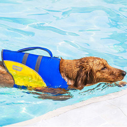 Dog Outdoor Swimming Life Jacket Swimsuit