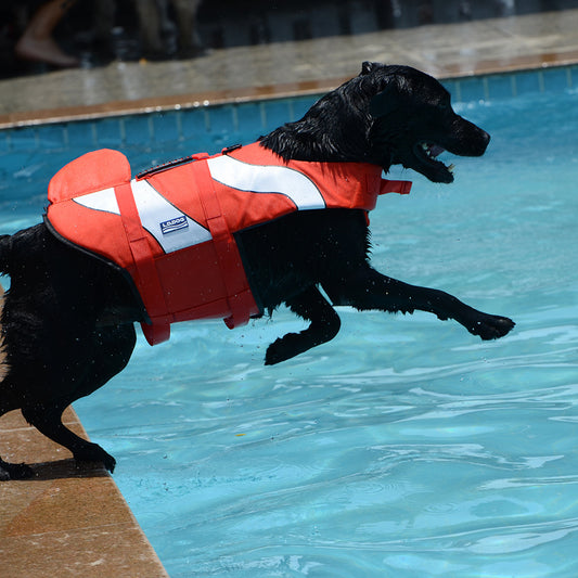 Pet Dog Life Vest Swimsuit