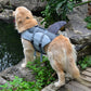 Pet Dog Life Vest Swimsuit
