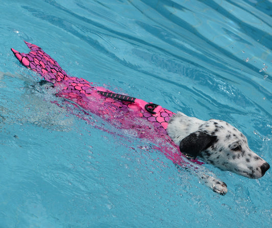 Pet Dog Life Vest Swimsuit