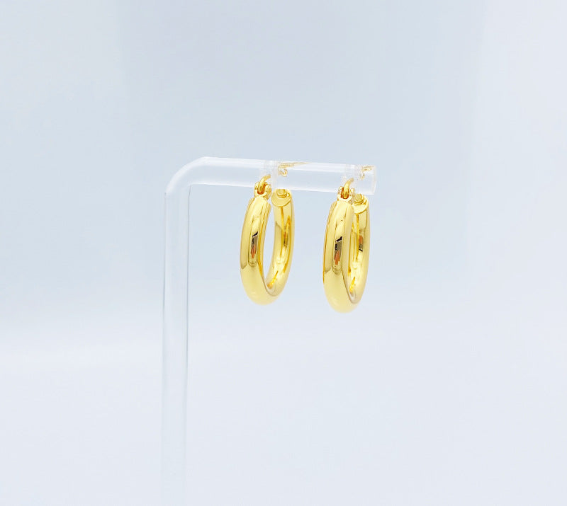 Fashion Circle Earrings