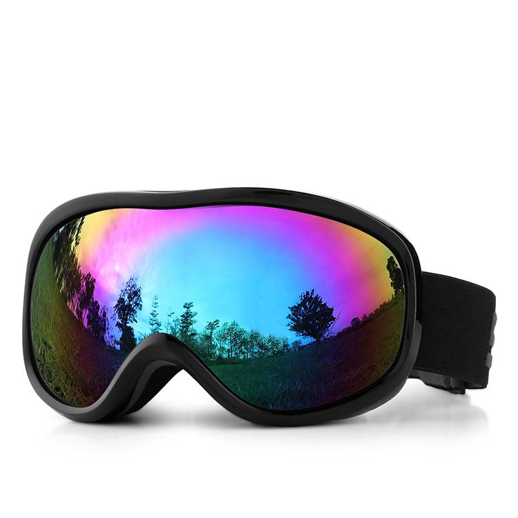 Adult Ski Goggles Double Layer Anti-Fog