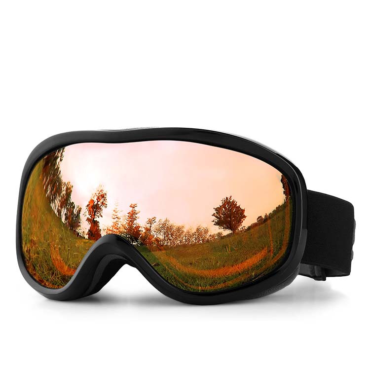 Adult Ski Goggles Double Layer Anti-Fog